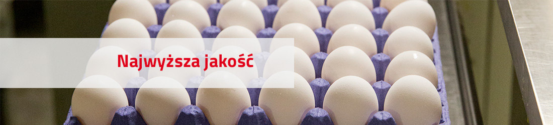 Zakad pakowania jaj